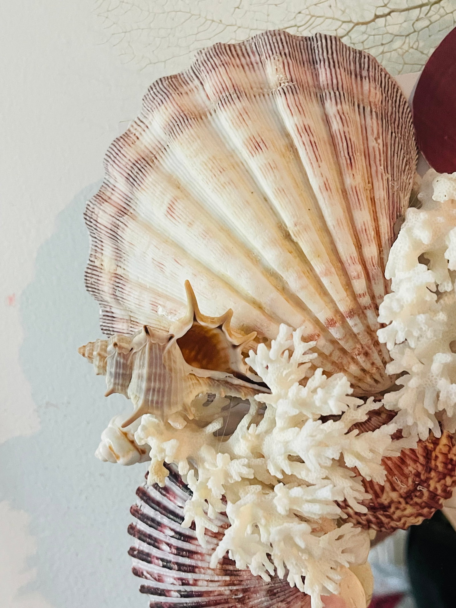 Fabulous Sea Shell Encrusted 4 Ft Wall Mirror - 5