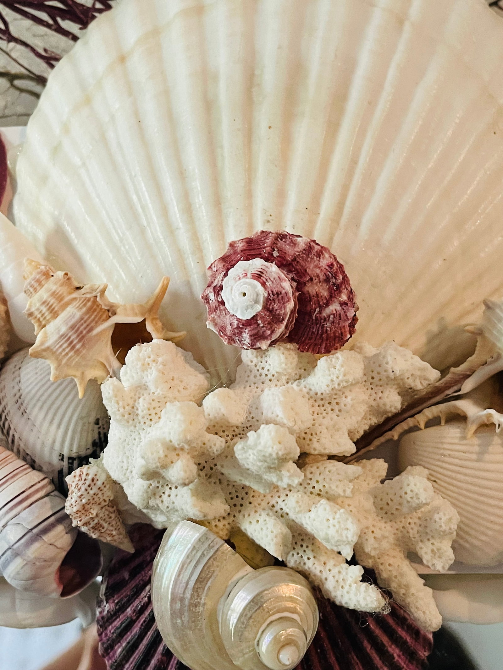Fabulous Sea Shell Encrusted 4 Ft Wall Mirror - 6
