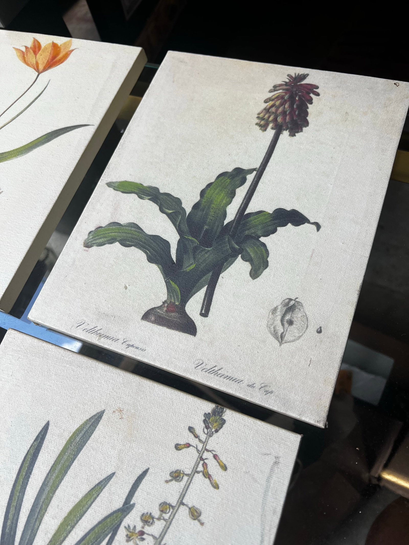 1970s Collection of Floral Signed Prints on Canvas - Set of 4 - 6