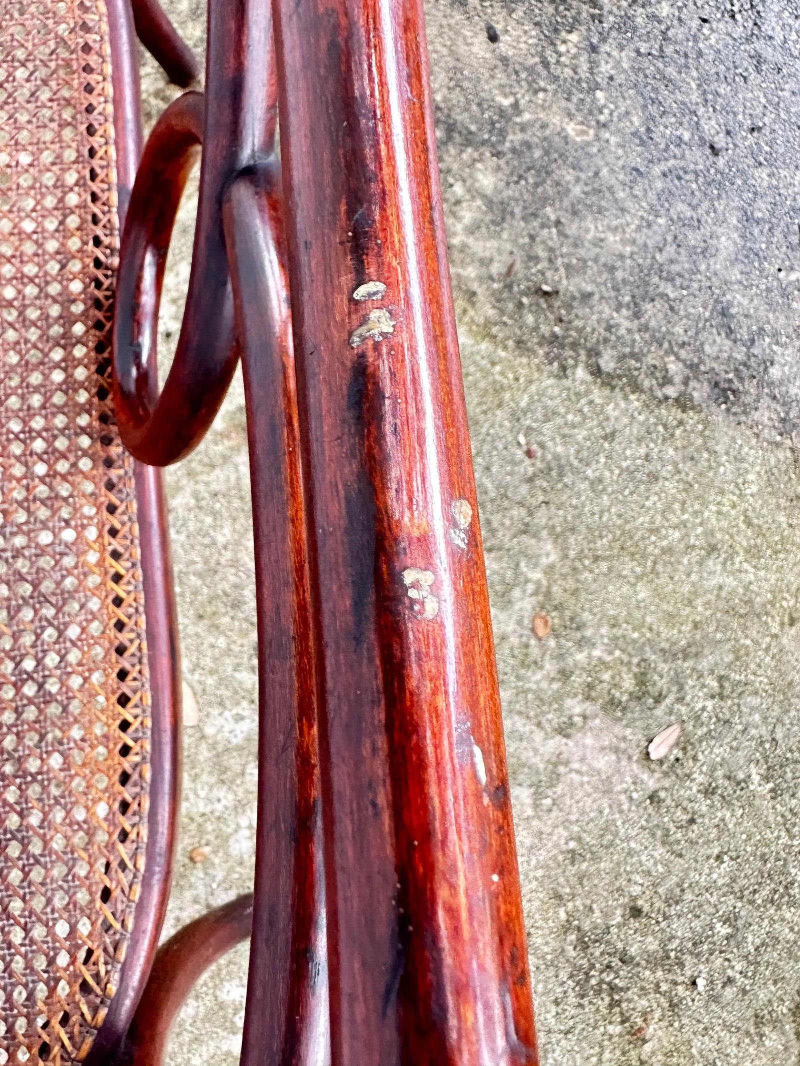 Antique Child's Bentwood and Cane Bench - 5