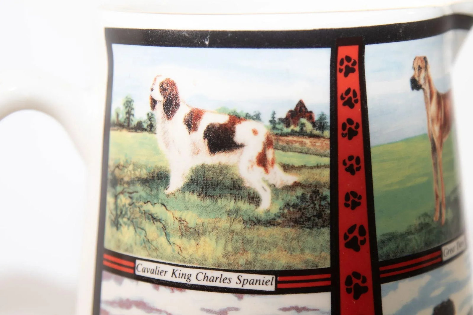 Vintage 1970s Ceramic Pitcher, Derbyshire England With Dog Breeds Pictures - 7
