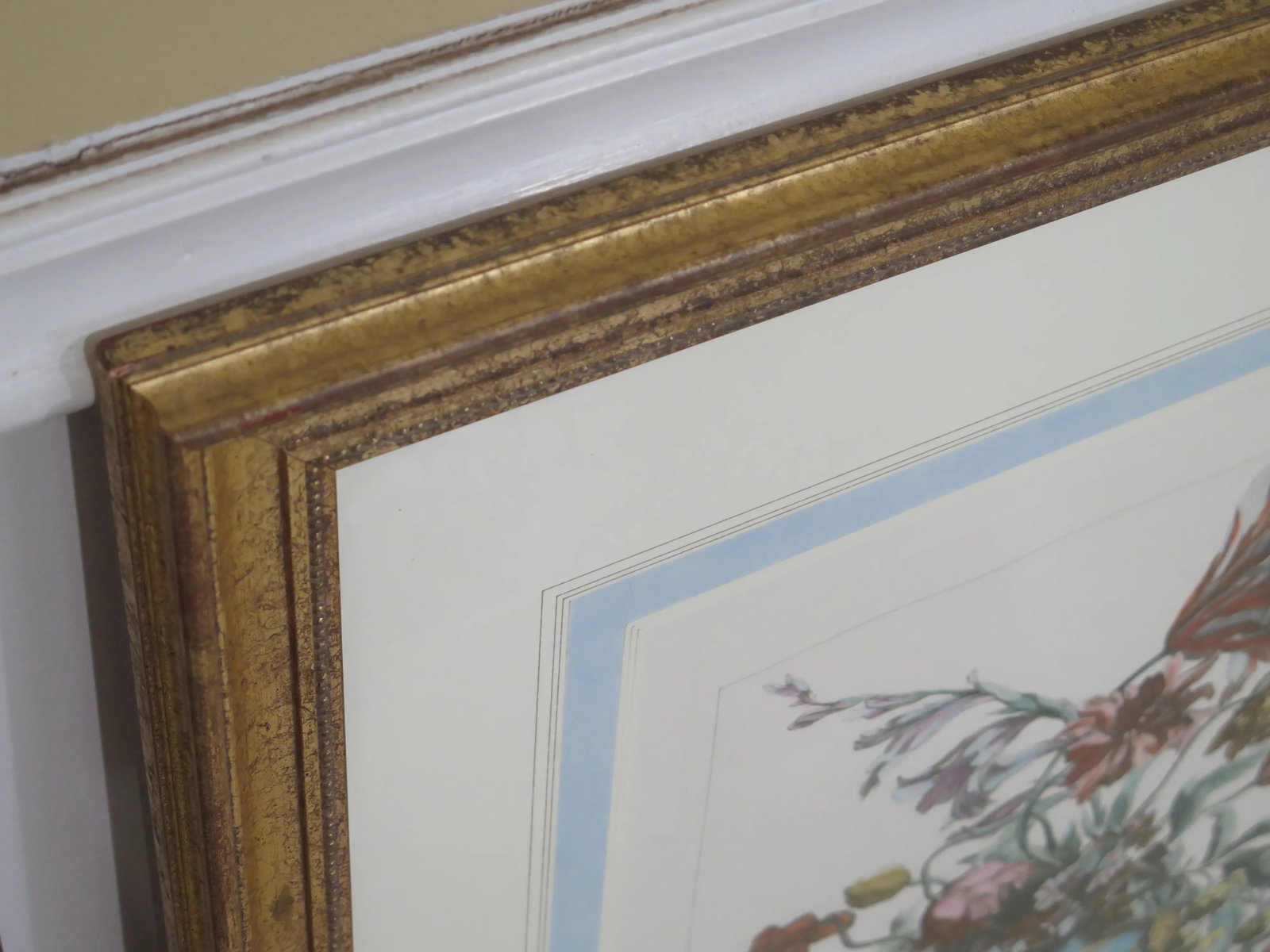 Matted & Gold Framed Botanical Prints - a Pair - 3