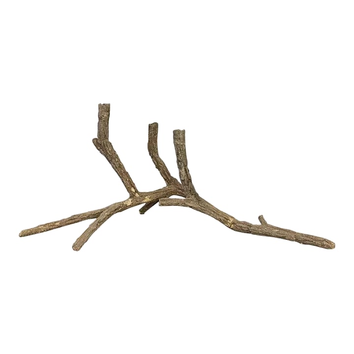 Mid-Century Sculptural Concrete Driftwood Branch Candelabra: Impressive, mid-century, organic modern, sculptural, concrete candelabra in the form of an elegant, weathered piece of driftwood or fallen branches that holds three candles for a dramatic tabletop