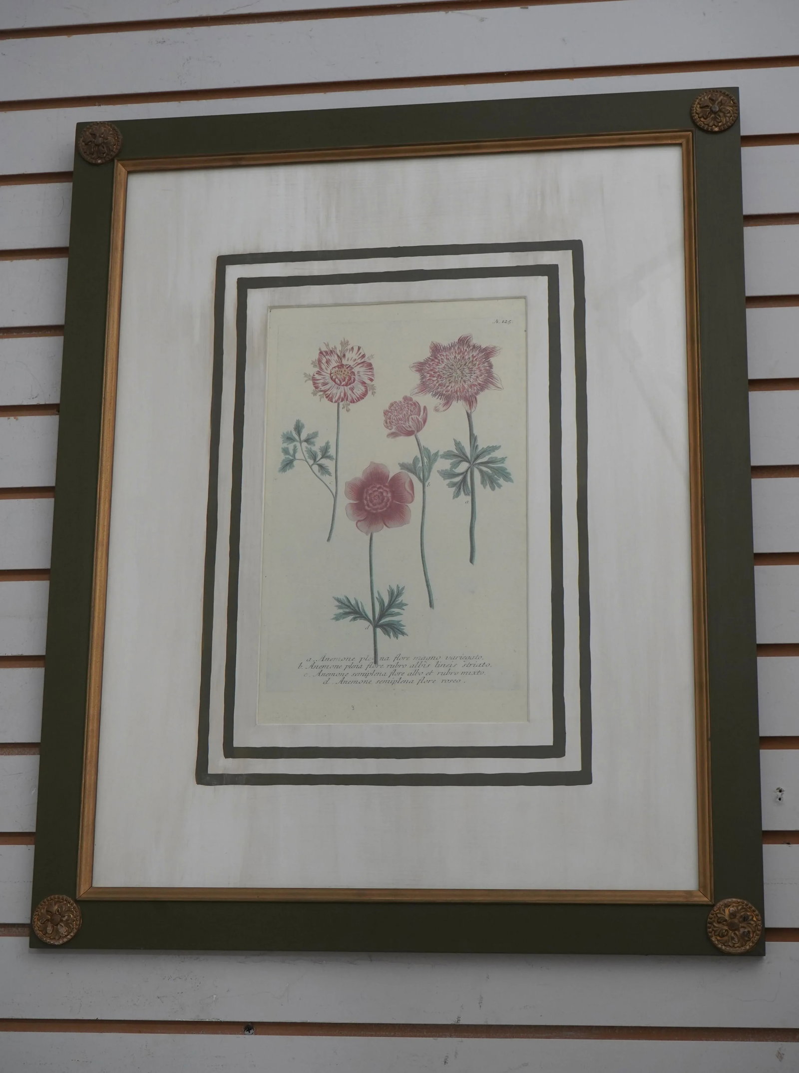 Pair John Richards Green Framed Botanical Prints - 2
