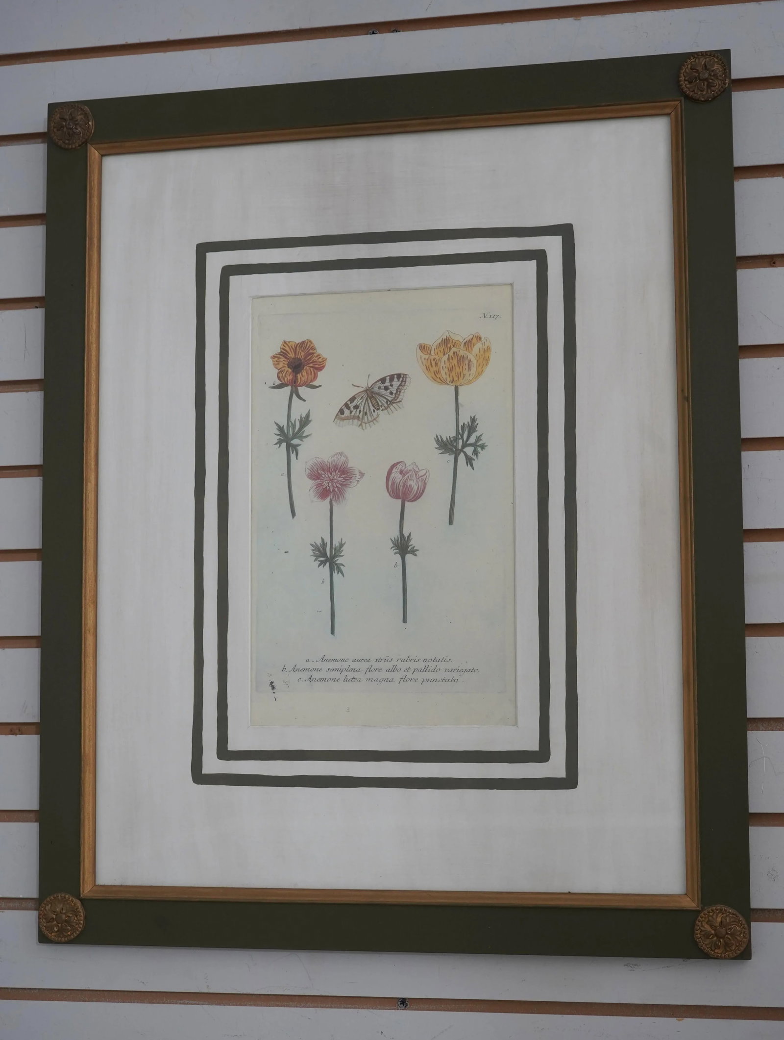 Pair John Richards Green Framed Botanical Prints - 3