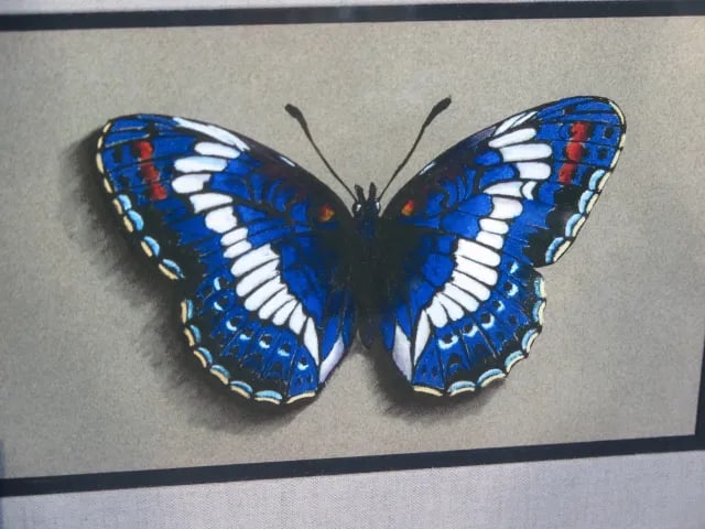 Colorful Pastels Butterfly Painting Prints- A Pair - 3