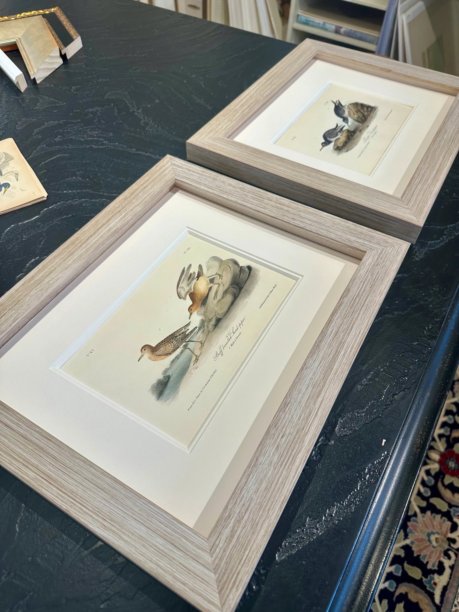 1840's Audubon Buff-Breasted & Purple Sandpipers, Framed Set of 2 - 6