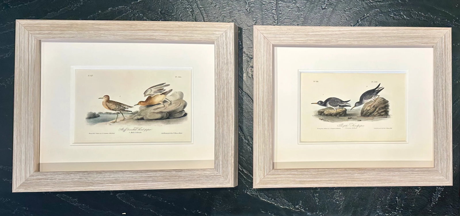 1840's Audubon Buff-Breasted & Purple Sandpipers, Framed Set of 2 - 7
