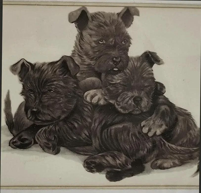 Litter of Brown Scottie Puppies Vintage Print in Antique Frame & Glass - 2