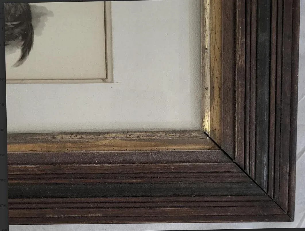 Litter of Brown Scottie Puppies Vintage Print in Antique Frame & Glass - 3