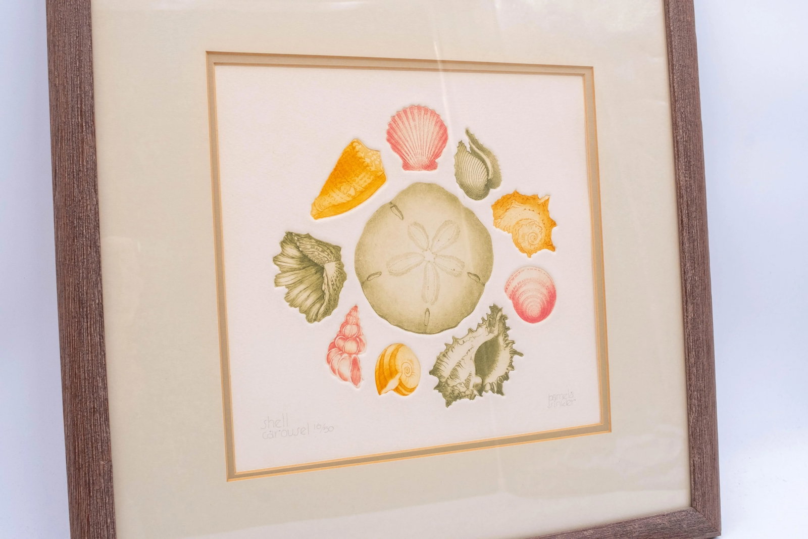 Pair of Framed Signed & Numbered Art Study Nautical Shells Fish Drawings Pamela Sinkler - 16