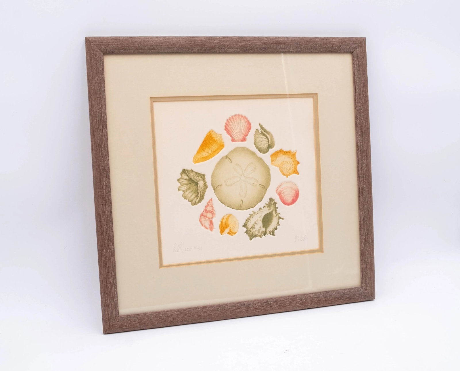 Pair of Framed Signed & Numbered Art Study Nautical Shells Fish Drawings Pamela Sinkler - 2