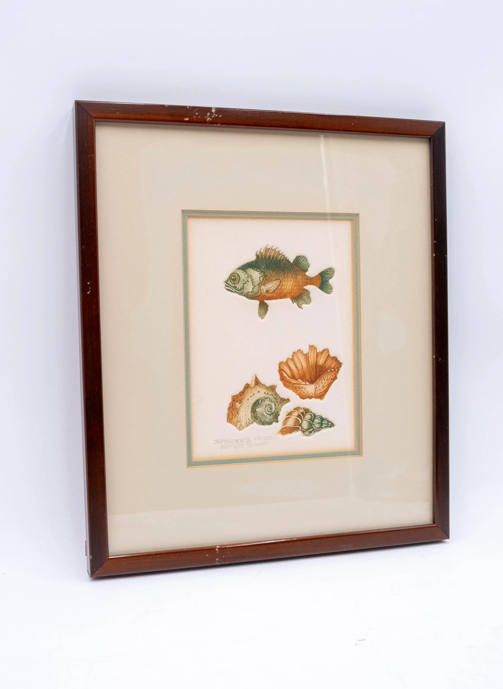Pair of Framed Signed & Numbered Art Study Nautical Shells Fish Drawings Pamela Sinkler - 3