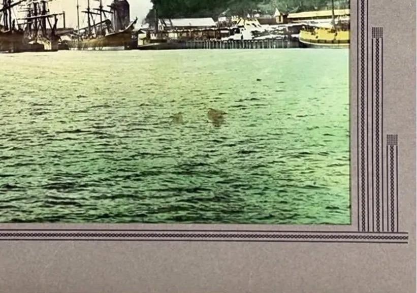 Rare Antique Hand-Colored Photograph of Port Blakely, Wa Mill (C. 1900) by Wilhelm Hester - 6