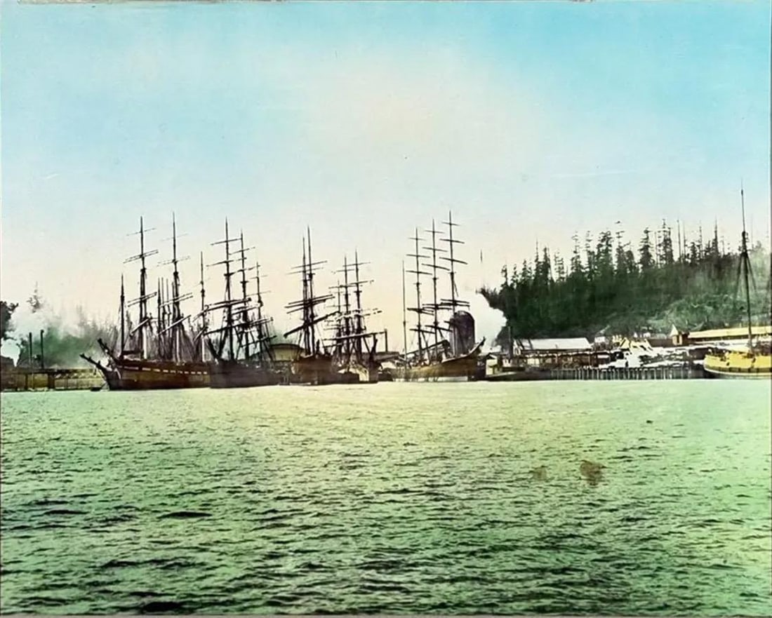 Rare Antique Hand-Colored Photograph of Port Blakely, Wa Mill (C. 1900) by Wilhelm Hester - 7