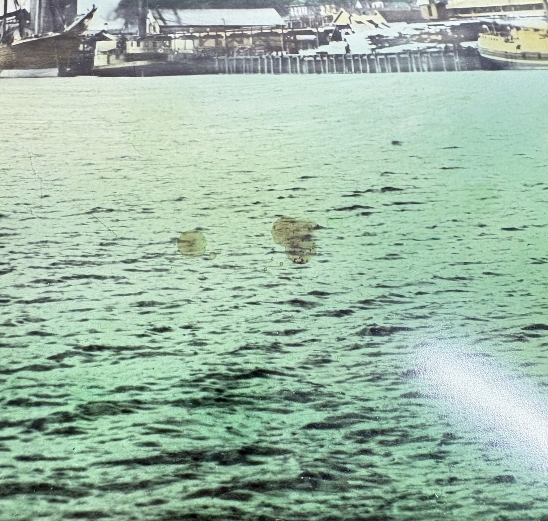 Rare Antique Hand-Colored Photograph of Port Blakely, Wa Mill (C. 1900) by Wilhelm Hester - 9