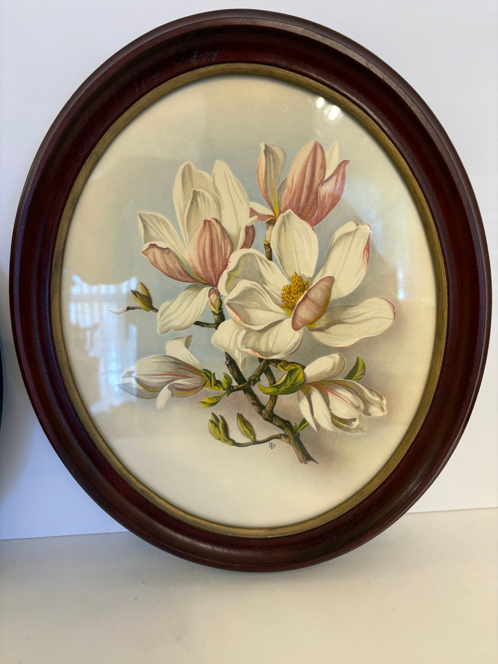 1930s I. B. Fischer Magnolia Reproduction Prints, a Pair - 2