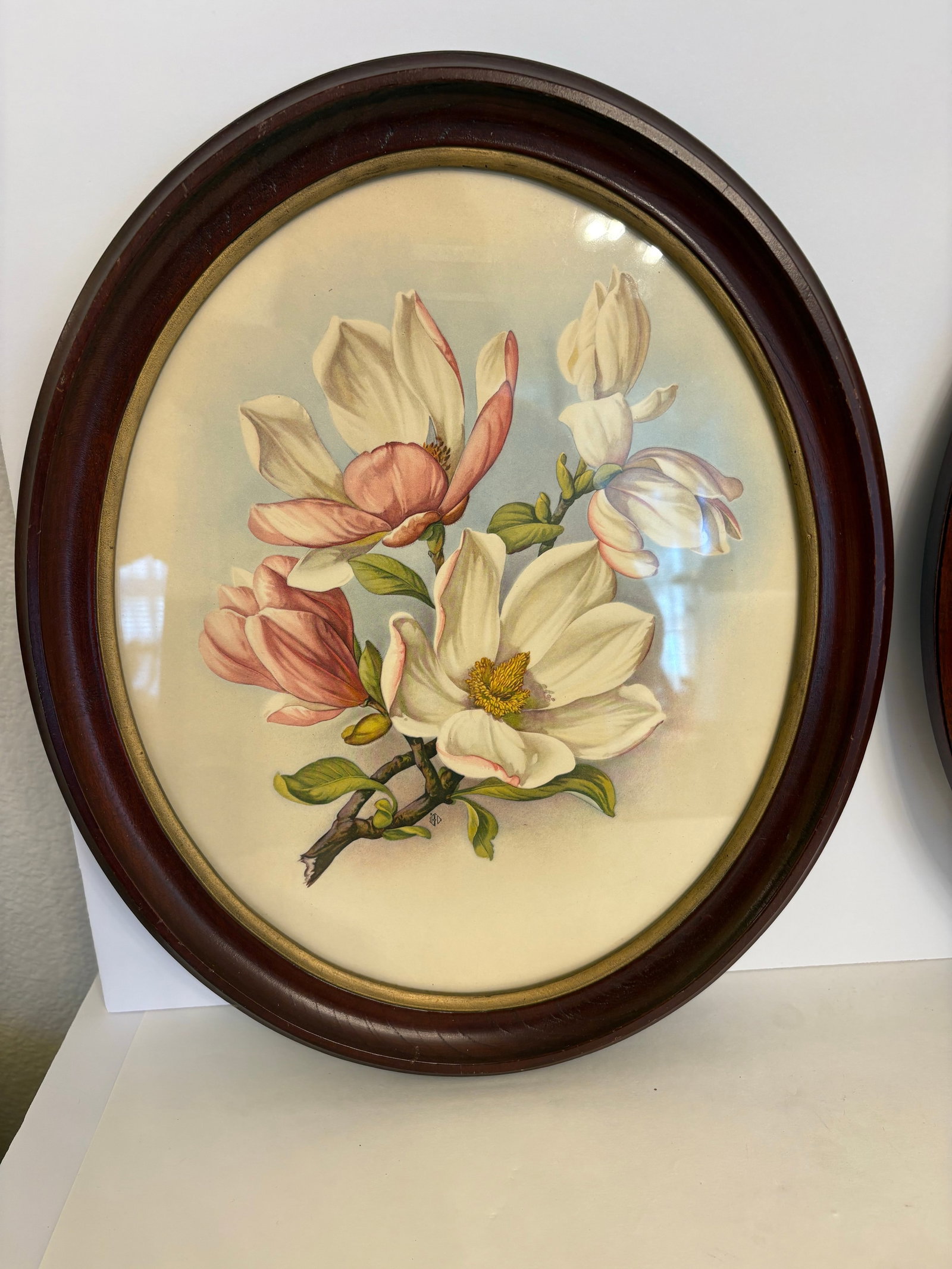 1930s I. B. Fischer Magnolia Reproduction Prints, a Pair - 3