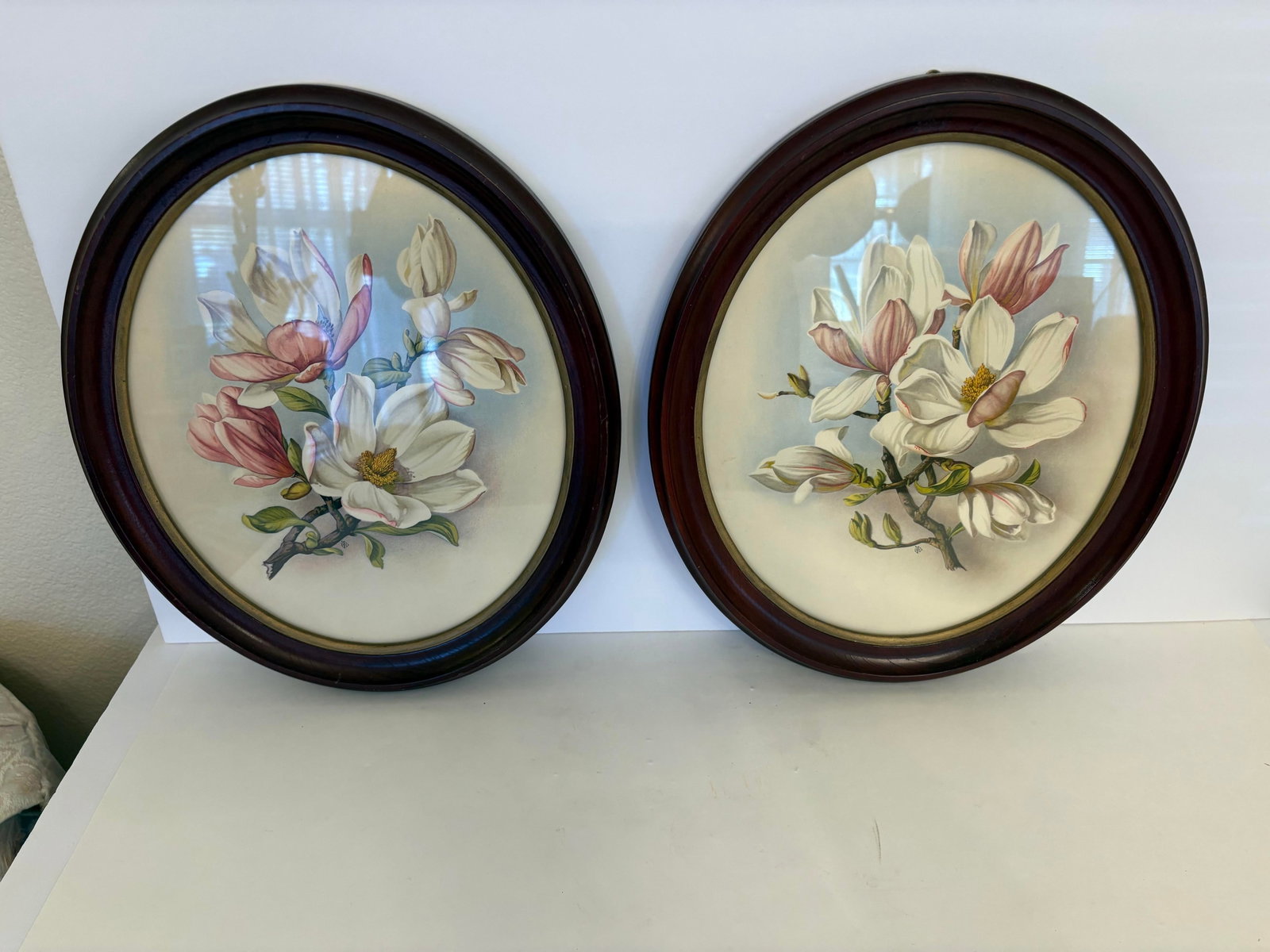 1930s I. B. Fischer Magnolia Reproduction Prints, a Pair - 4