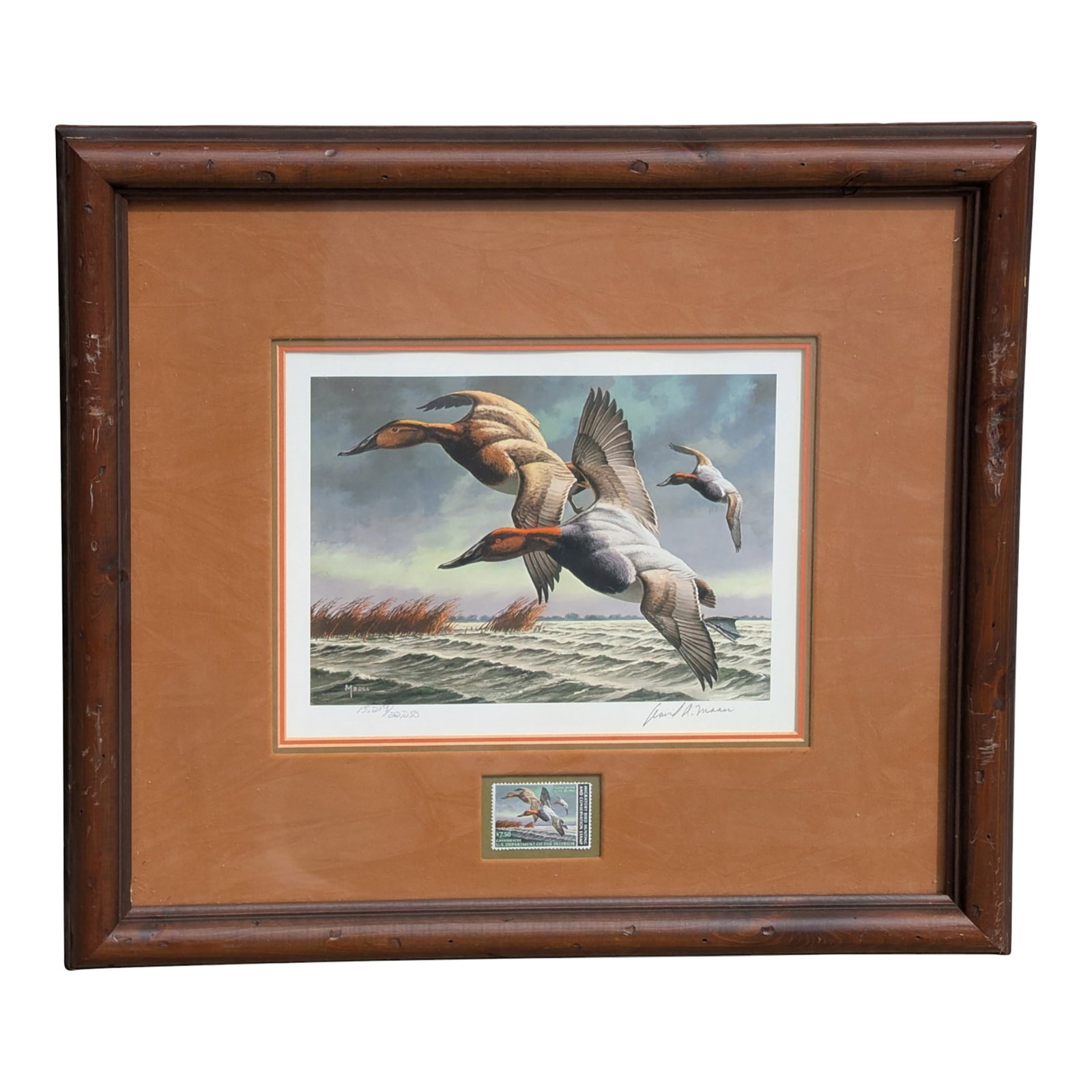 1980s "Canvasbacks" by David Maass, Featuring the 1982-1983 Federal Migratory Bird Hunting and Conse: Framed limited edition art print titled "Canvasbacks" by artist David Maass, featuring the 1982-1983 Federal Migratory Bird Hunting and Conservation Stamp. The print depicts Canvasback ducks flying ov