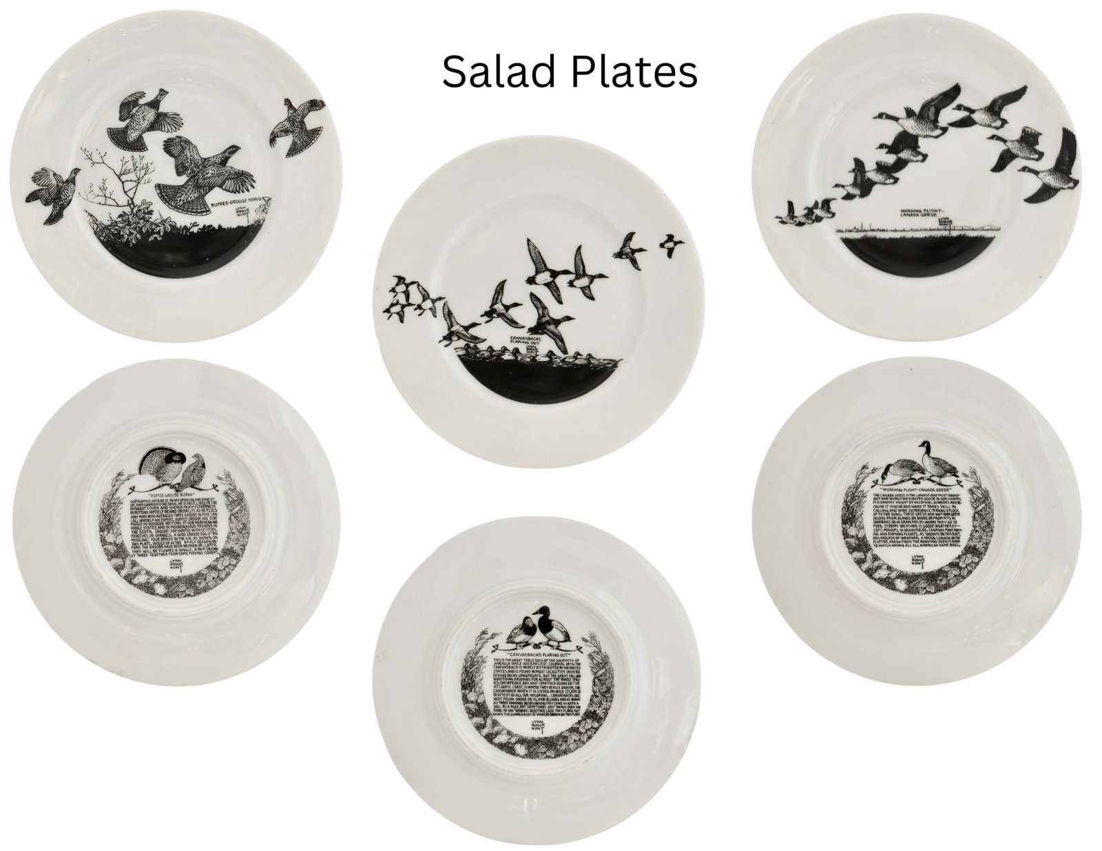 Mid 20th Century Lynn Bogue Hunt "Game Bird" Porcelain Plates, Service for 6 - 2