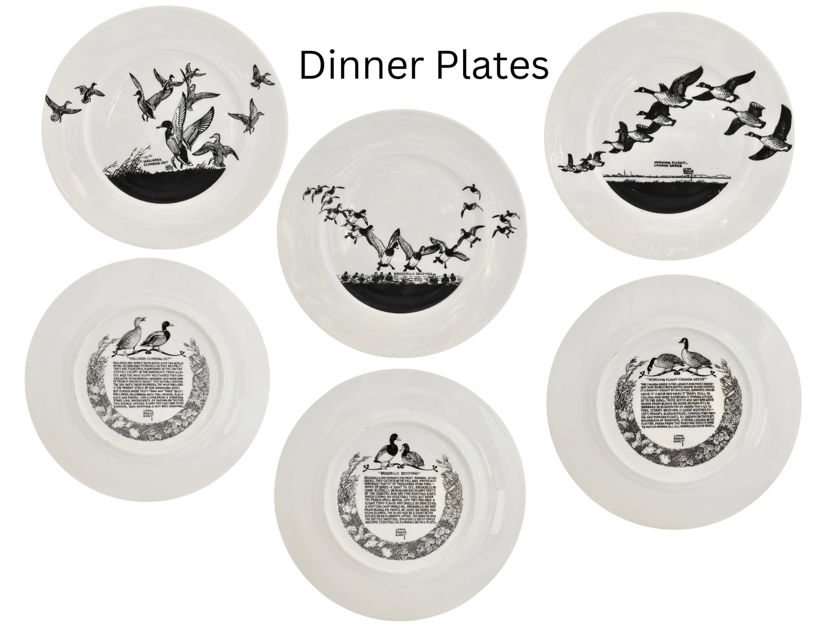 Mid 20th Century Lynn Bogue Hunt "Game Bird" Porcelain Plates, Service for 6 - 3