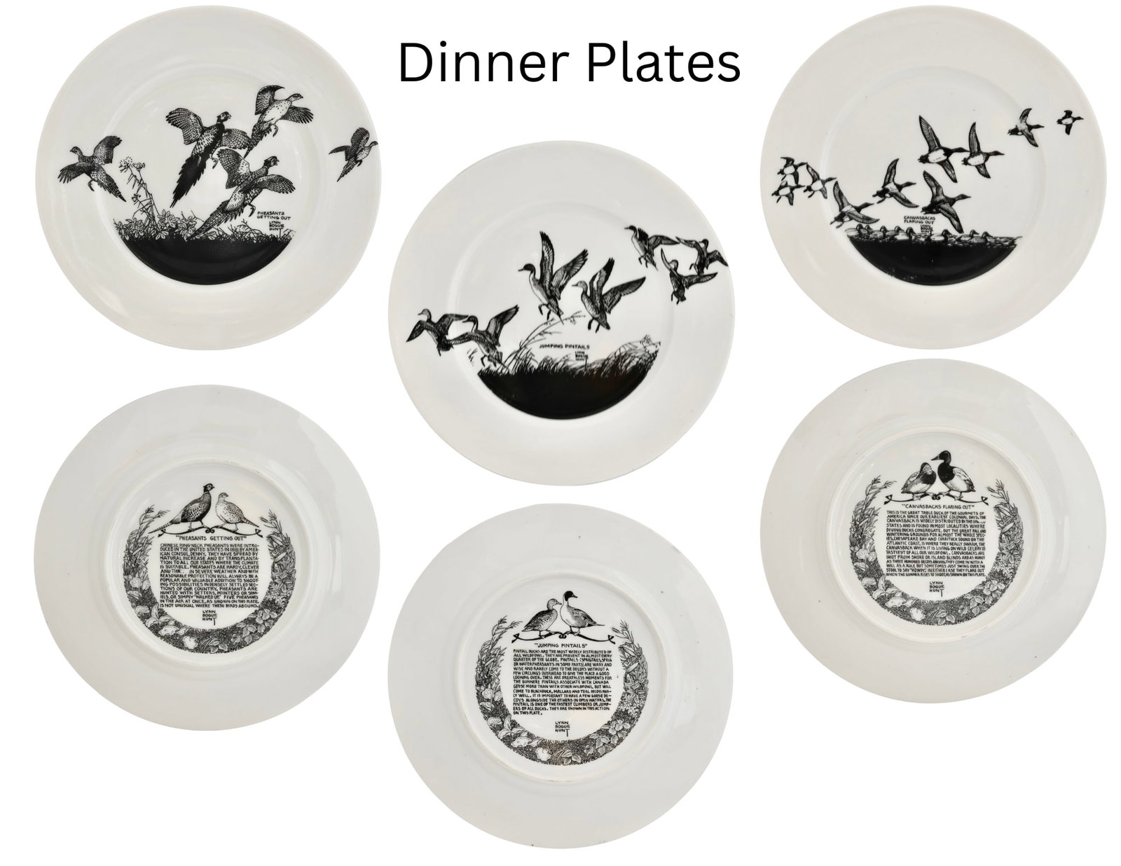 Mid 20th Century Lynn Bogue Hunt "Game Bird" Porcelain Plates, Service for 6 - 5