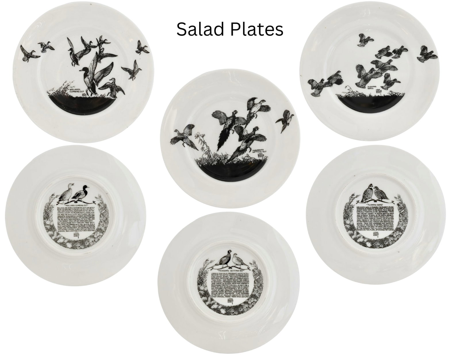 Mid 20th Century Lynn Bogue Hunt "Game Bird" Porcelain Plates, Service for 6 - 6