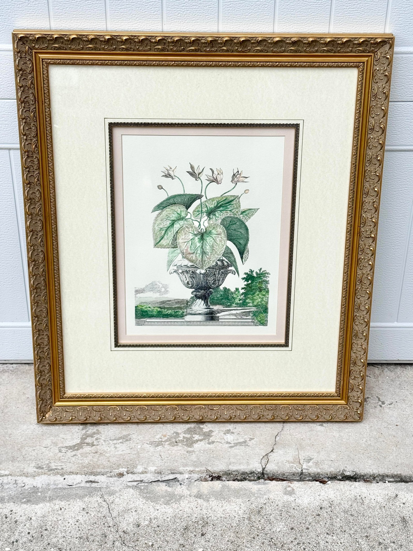 Vintage Framed Pink Cyclamen Flower Print - 5