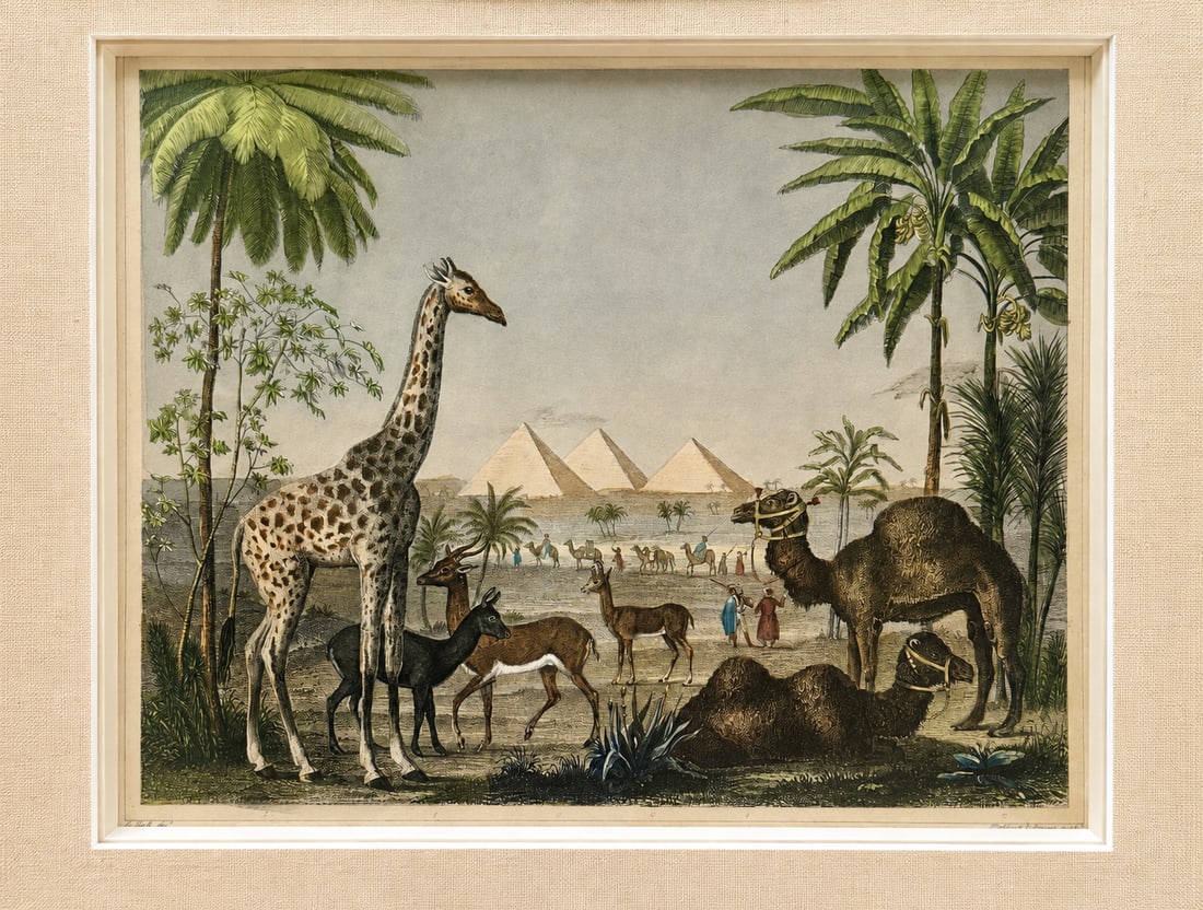 African Safari With Giraffe, Camel & Giza Pyramids - Antique Engraving by Johann Georg Heck, 1852, C - 3