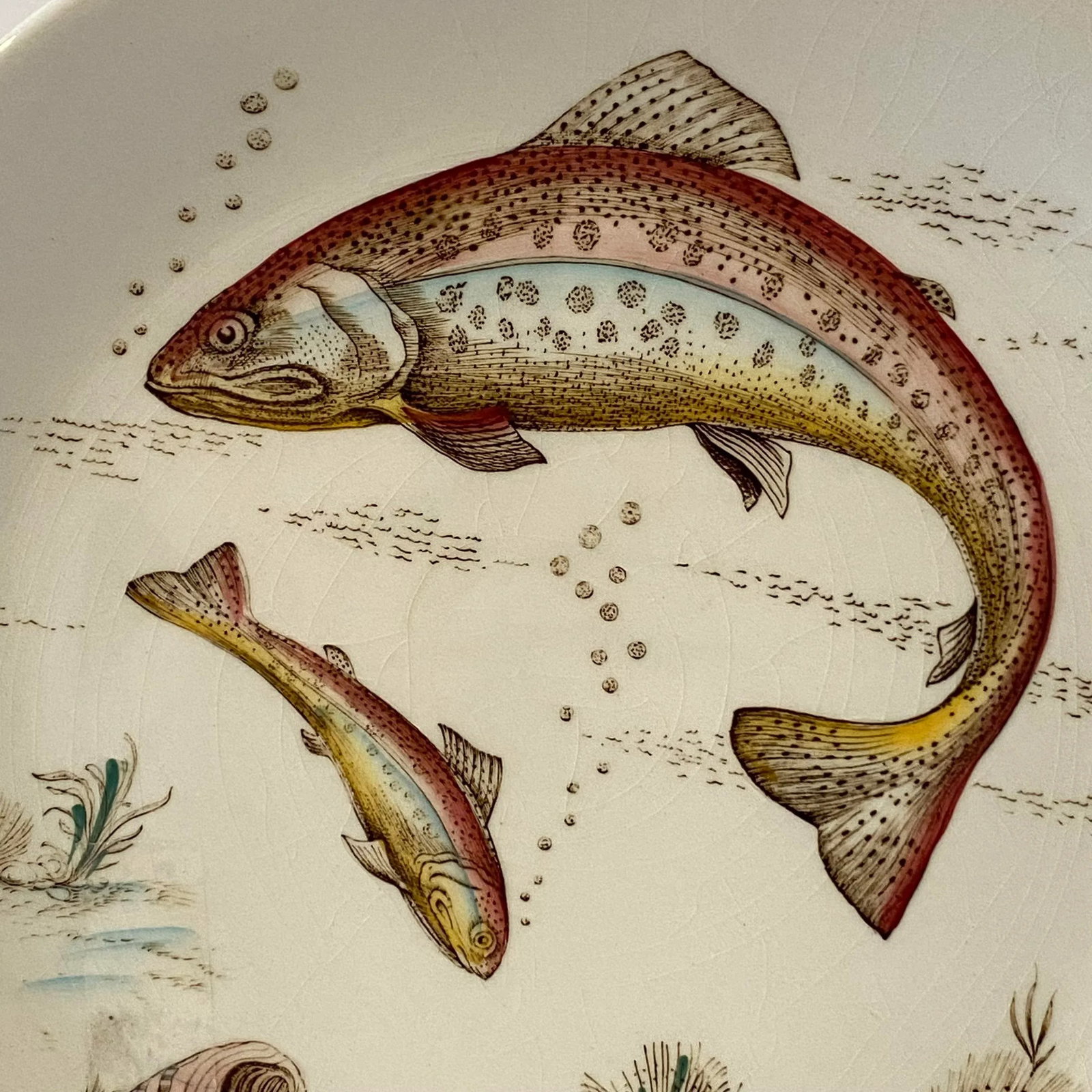 Vintage British Anchor Freshwater Fish Rainbow Trout Dinner Plate - 2