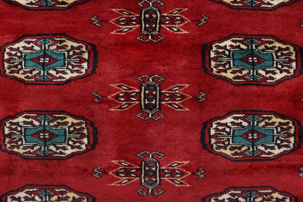 Rustic Bokhara Red Green Hand Knotted Rug - 4