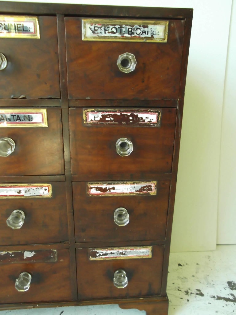 Federal Mahogany Footed Apothecary Chest - 4