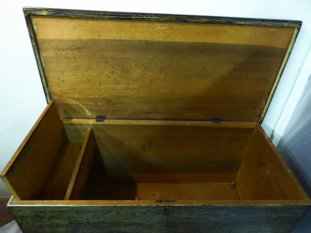 19th Century American Combed Finish Painted Trunk - 3