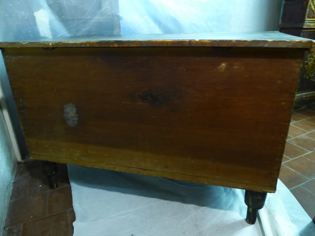 19th Century American Combed Finish Painted Trunk - 4