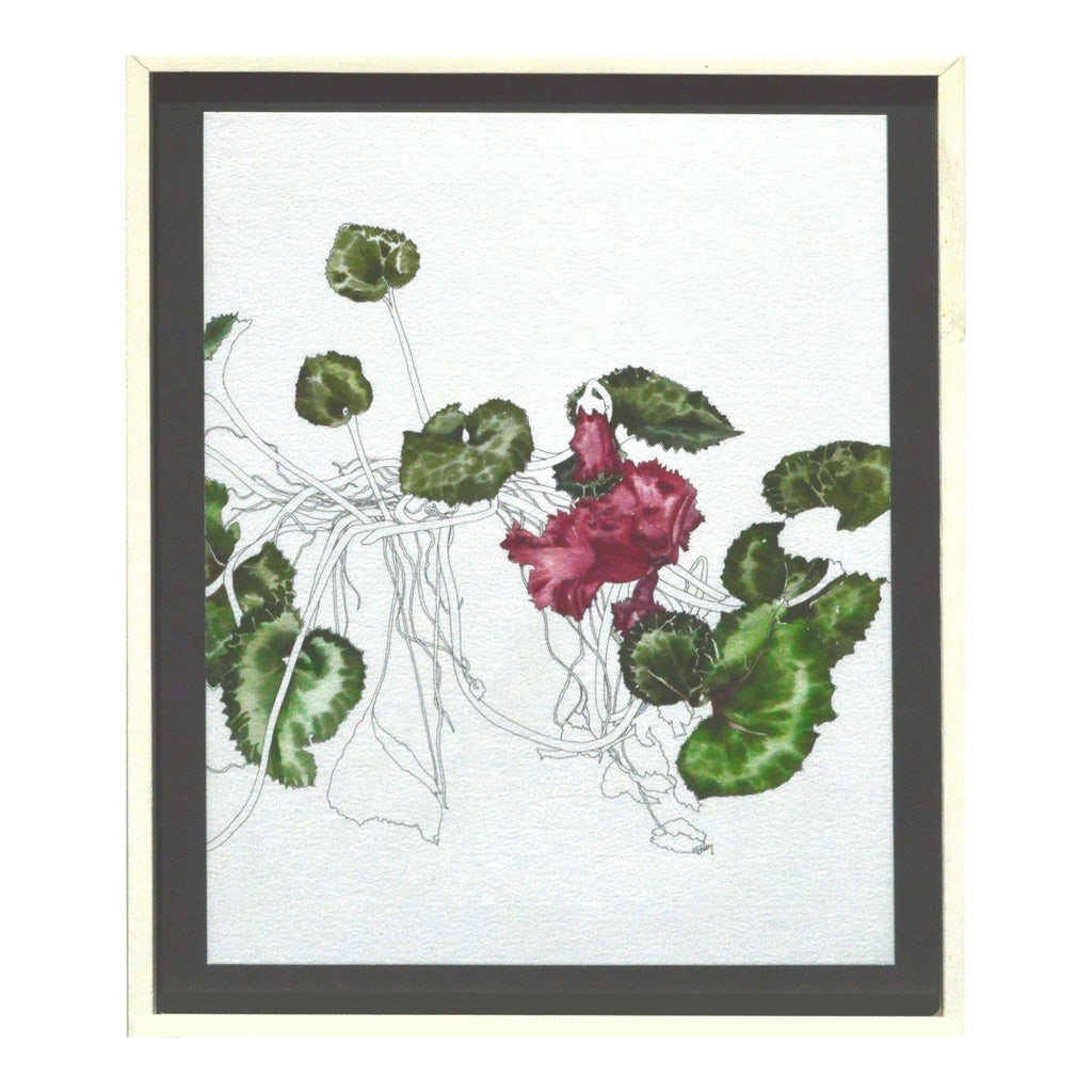 Cyclamen - Botanical Study by Deborah Eddy: Delicate watercolor, pen and ink floral study of cyclamen, with brilliant attention to detail and a signature delicate style blending into line drawing by California artist Deborah Eddy (American, b.1