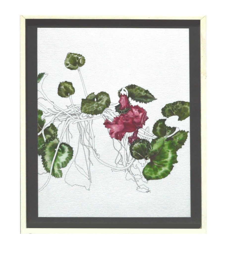 Cyclamen - Botanical Study by Deborah Eddy - 5