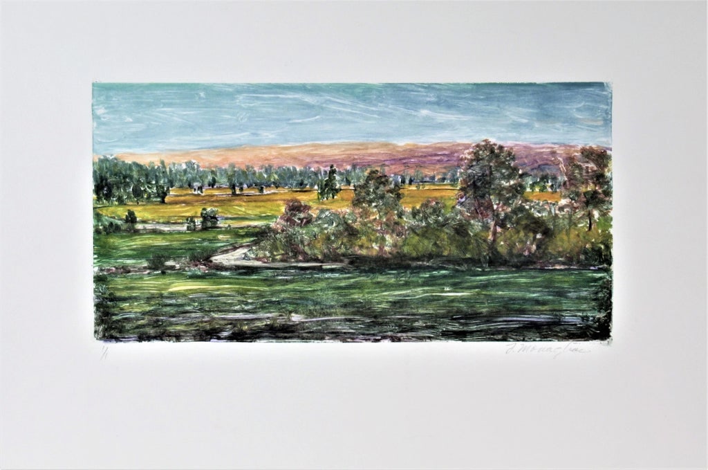 Thomas Monaghan, Landscape #II - 6