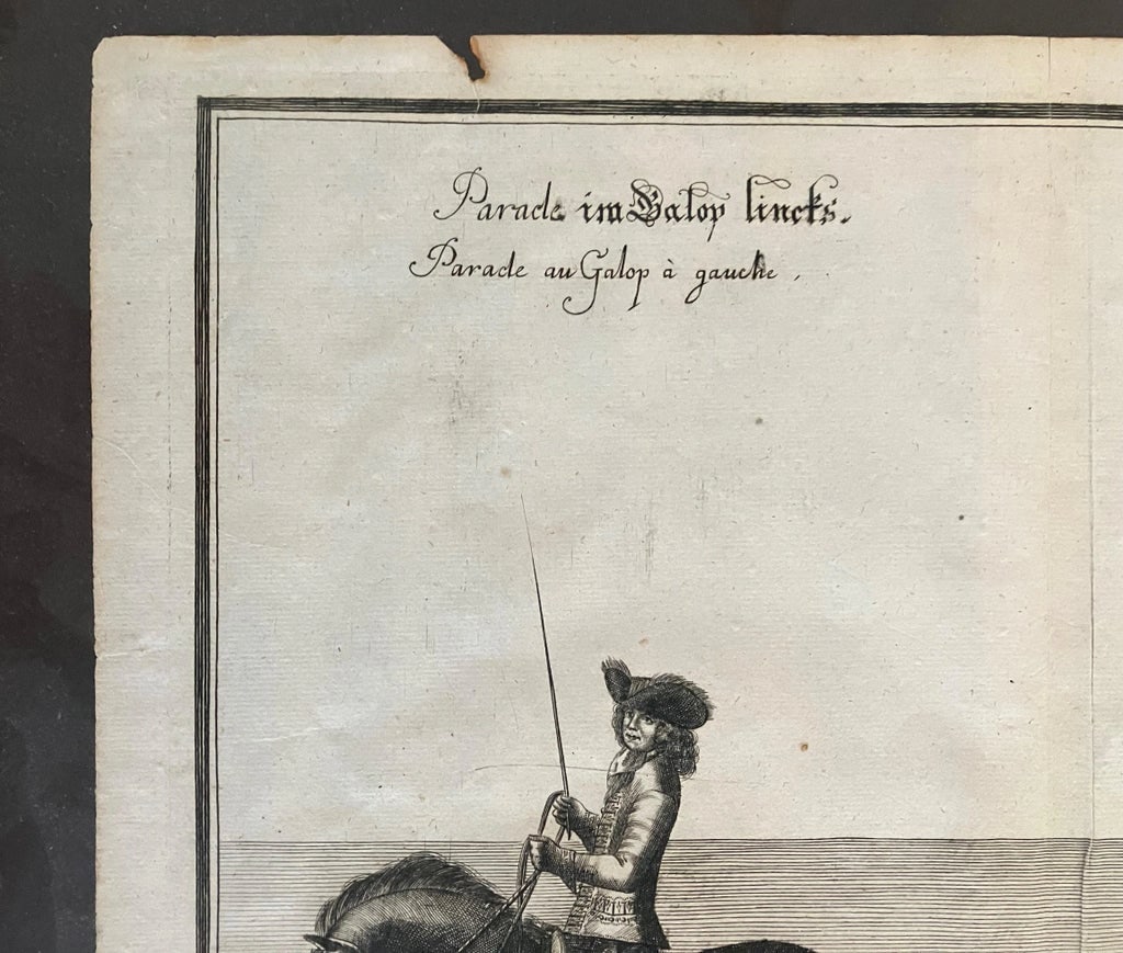 Framed 1700 Equestrian Engraving by William Cavendish After Van Diepenbeeck - 2
