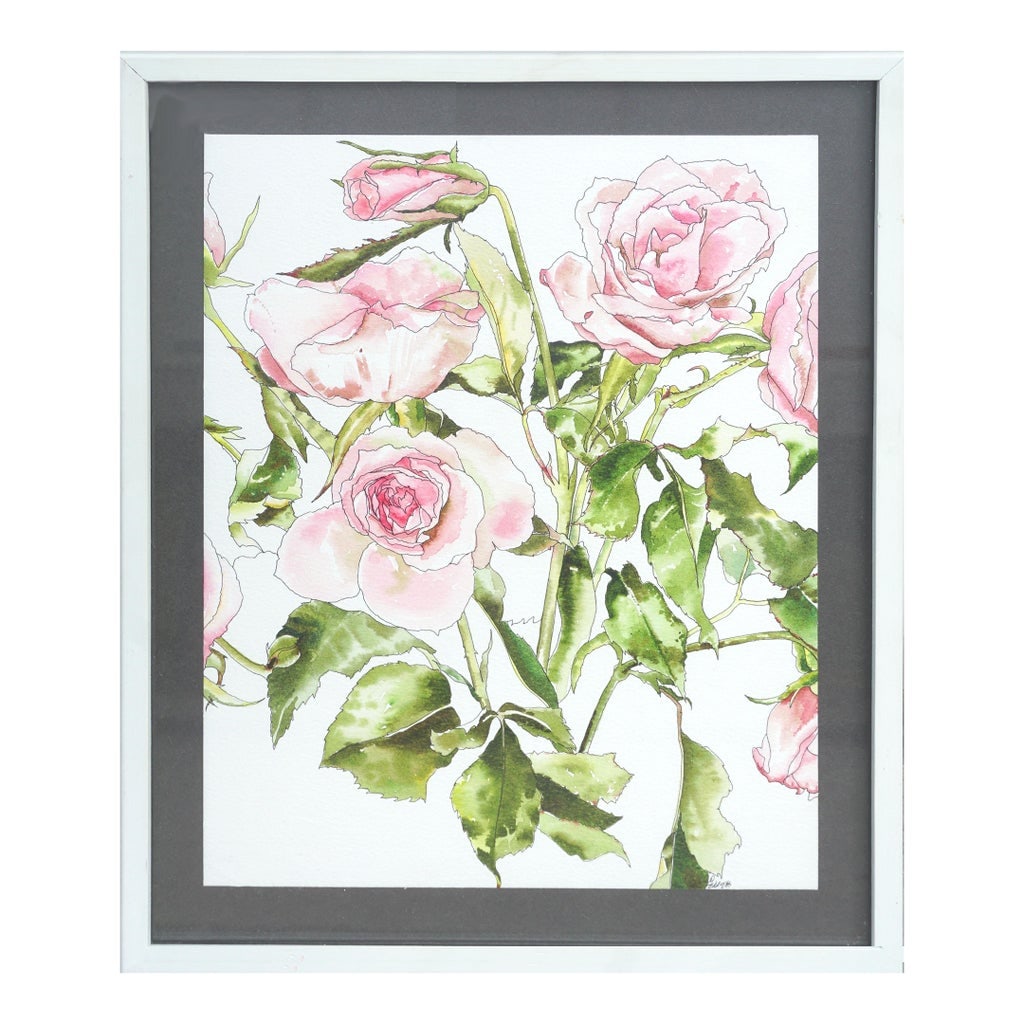 Light Pink Roses - Botanical Study by Deborah Eddy: Delicate watercolor, pen and ink floral study of light pink roses in full bloom, with brilliant attention to detail and a signature delicate style, by California artist Deborah Eddy (American,