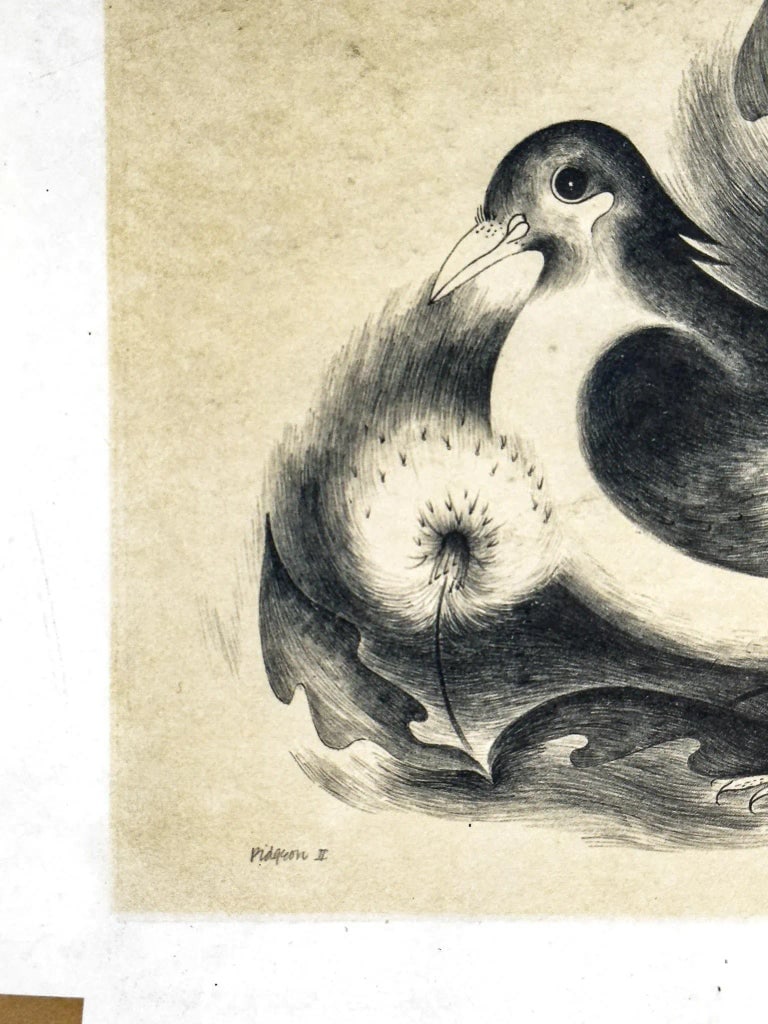 Dorothy Jeakins Lithograph, "Himalayan Pidgeon" - 6