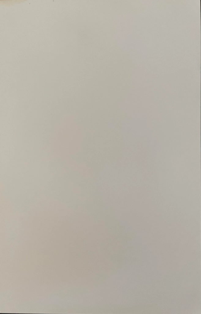 "Snow and Grass" Contemporary Color Photograph Print from The Estate of Gleb Derujinsky - 2