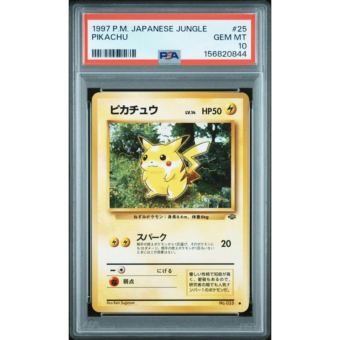 1997 Pokemon Japanese Jungle Pikachu #25 PSA 10: Manufacturer: Pokemon Product: Pokemon Series: Release Date: Not Announced Specifications Manufacturer: Pokemon Product: 1997 Pokemon Japanese Jungle Pikachu #25 PSA 10 Category: Pokemon TCG