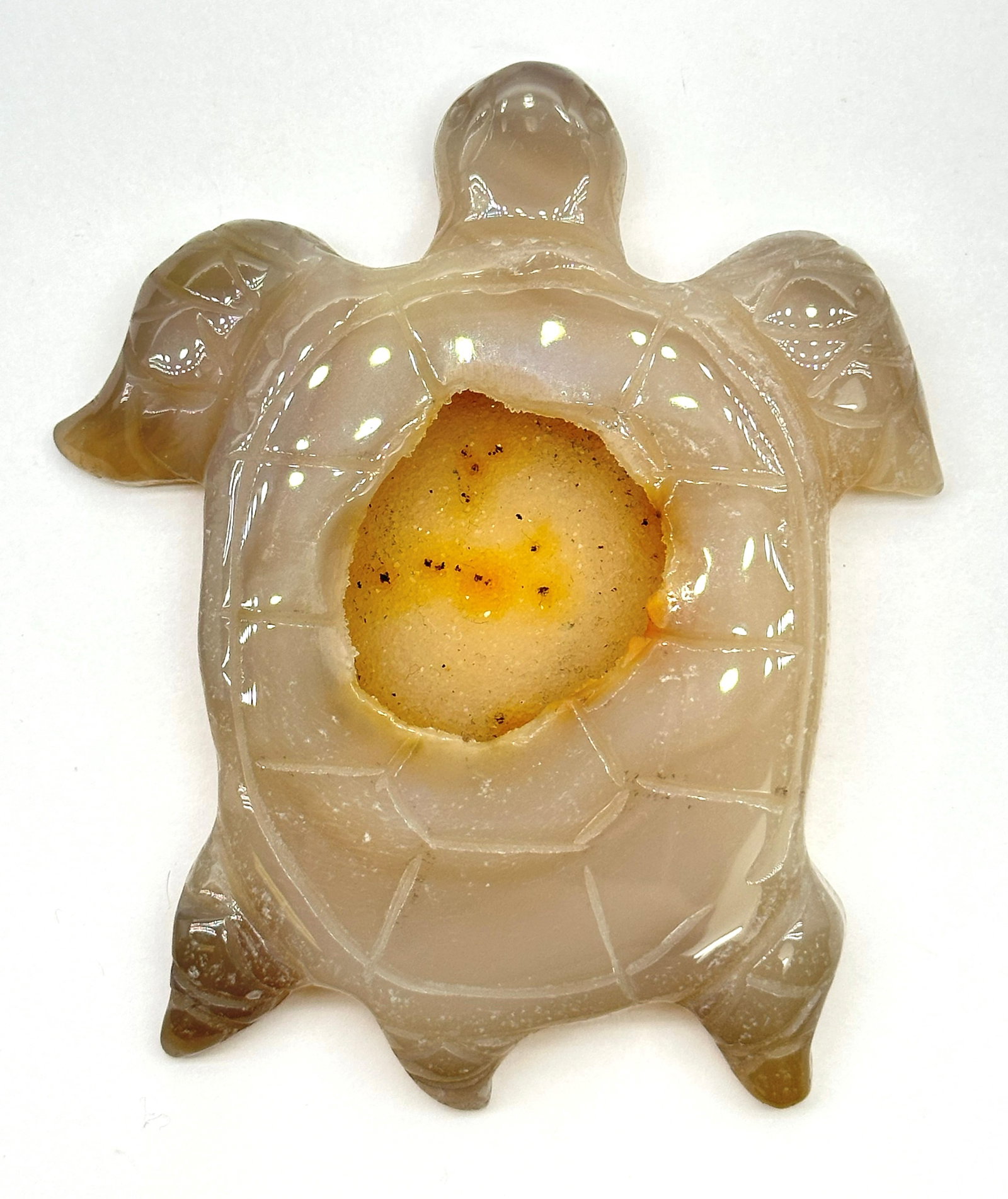 Lg Stone Carved Drusy Turtle 110 Grams (1 of 3)