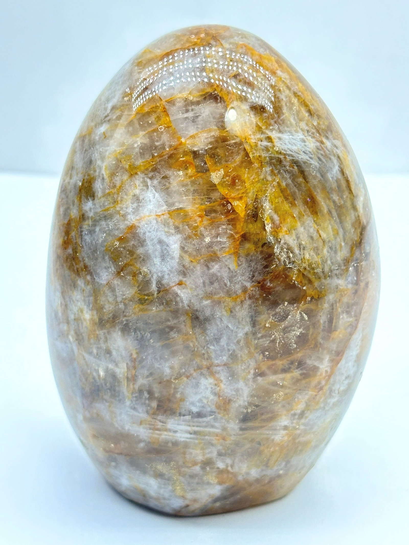 Large Golden Healer Freeform 1.10lbs: Large Golden Healer Freeform 1.10lbs