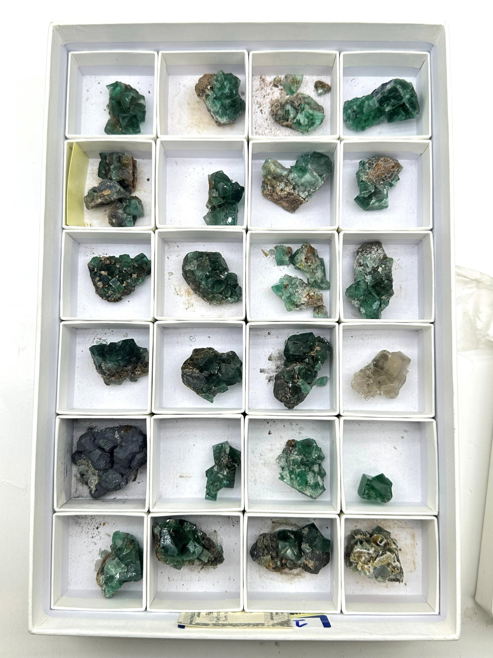 Whole Case Baryte Marcasite Lubin Mine/Poland: Whole Case Baryte Marcasite Lubin Mine/Poland