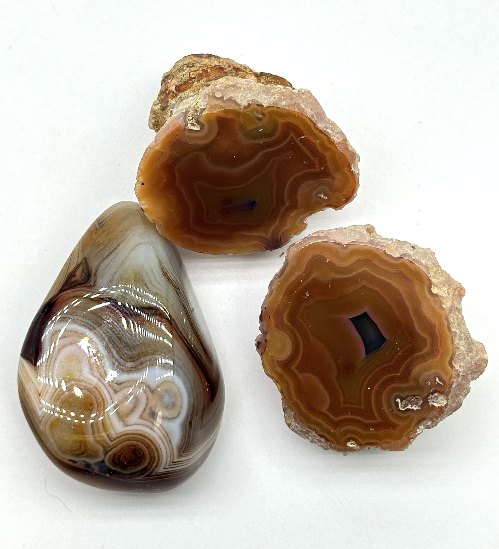 Agate Geodes & Palm stone .46 lbs: Agate Geodes & Palm stone .46 lbs
