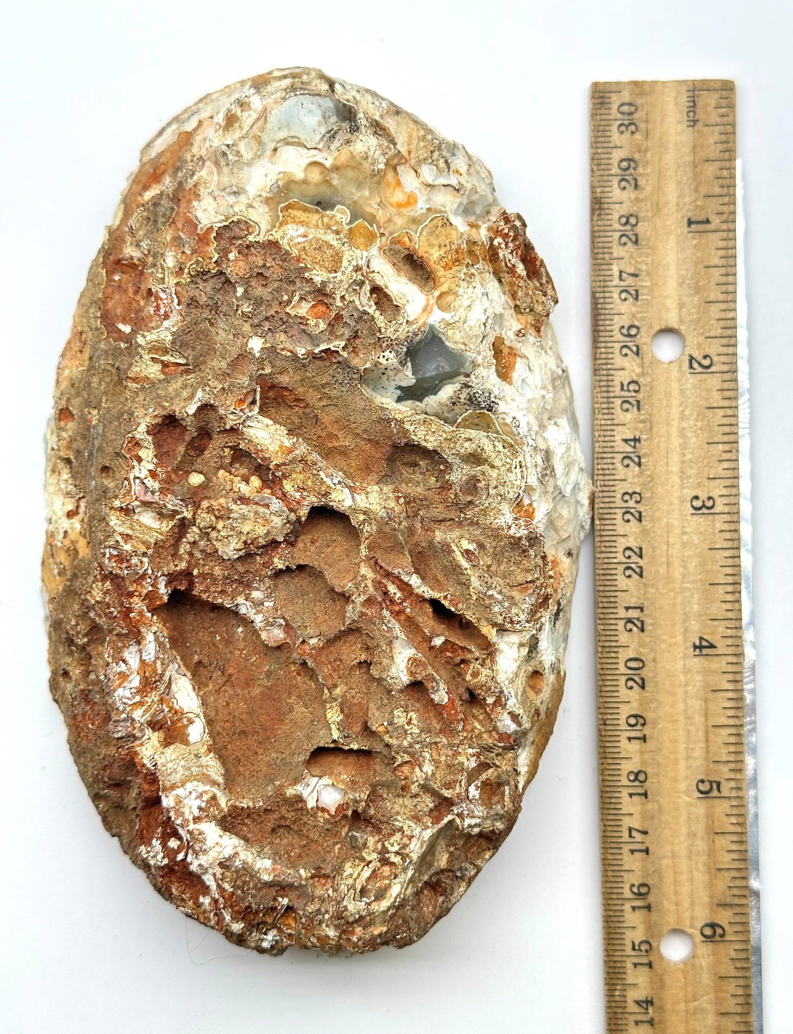 2 Pound Agate Geode - 3