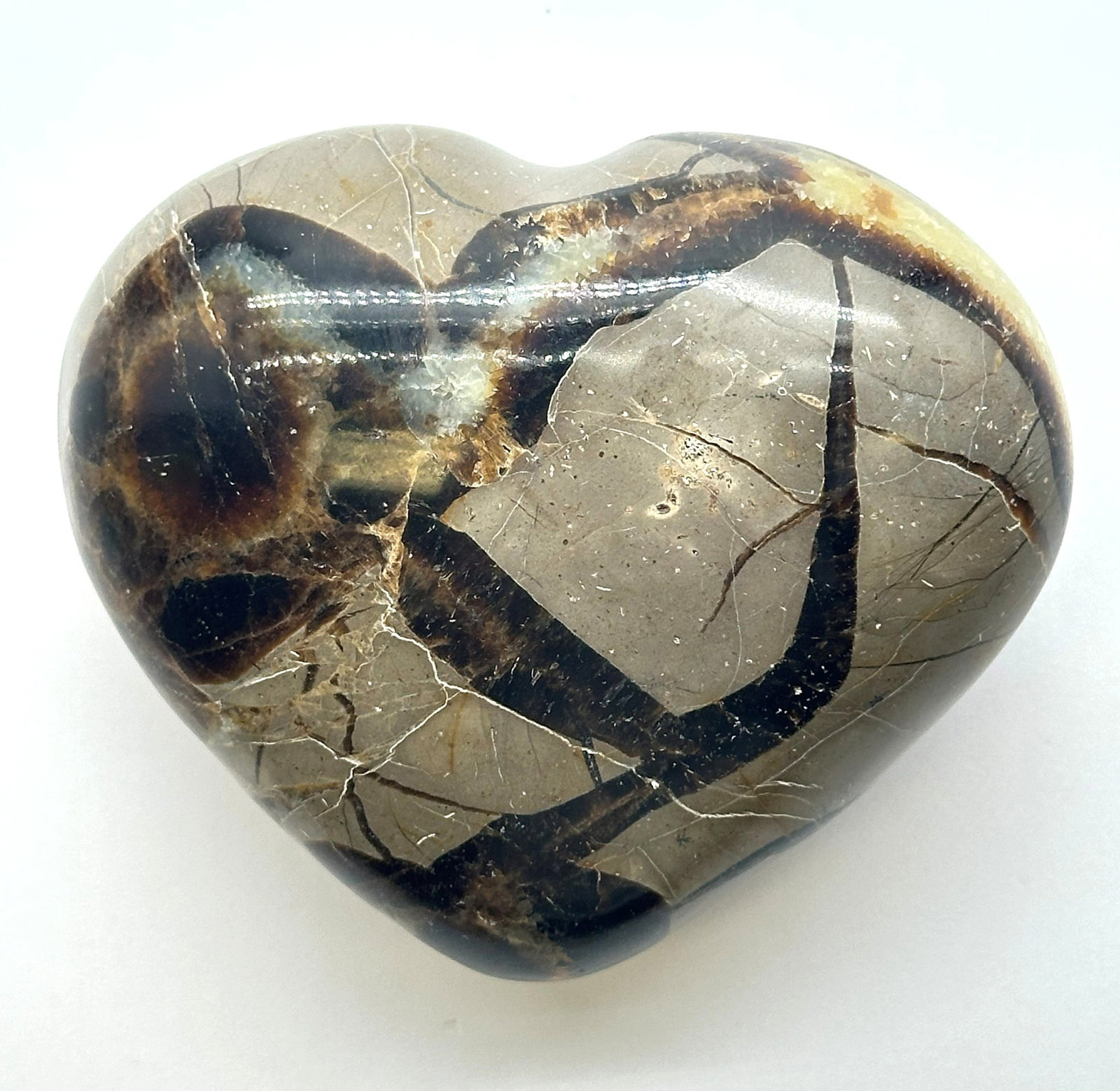 Large Septarian Heart "Dragon Stone" 329 Grams: Large Septarian Heart "Dragon Stone" 329 Grams