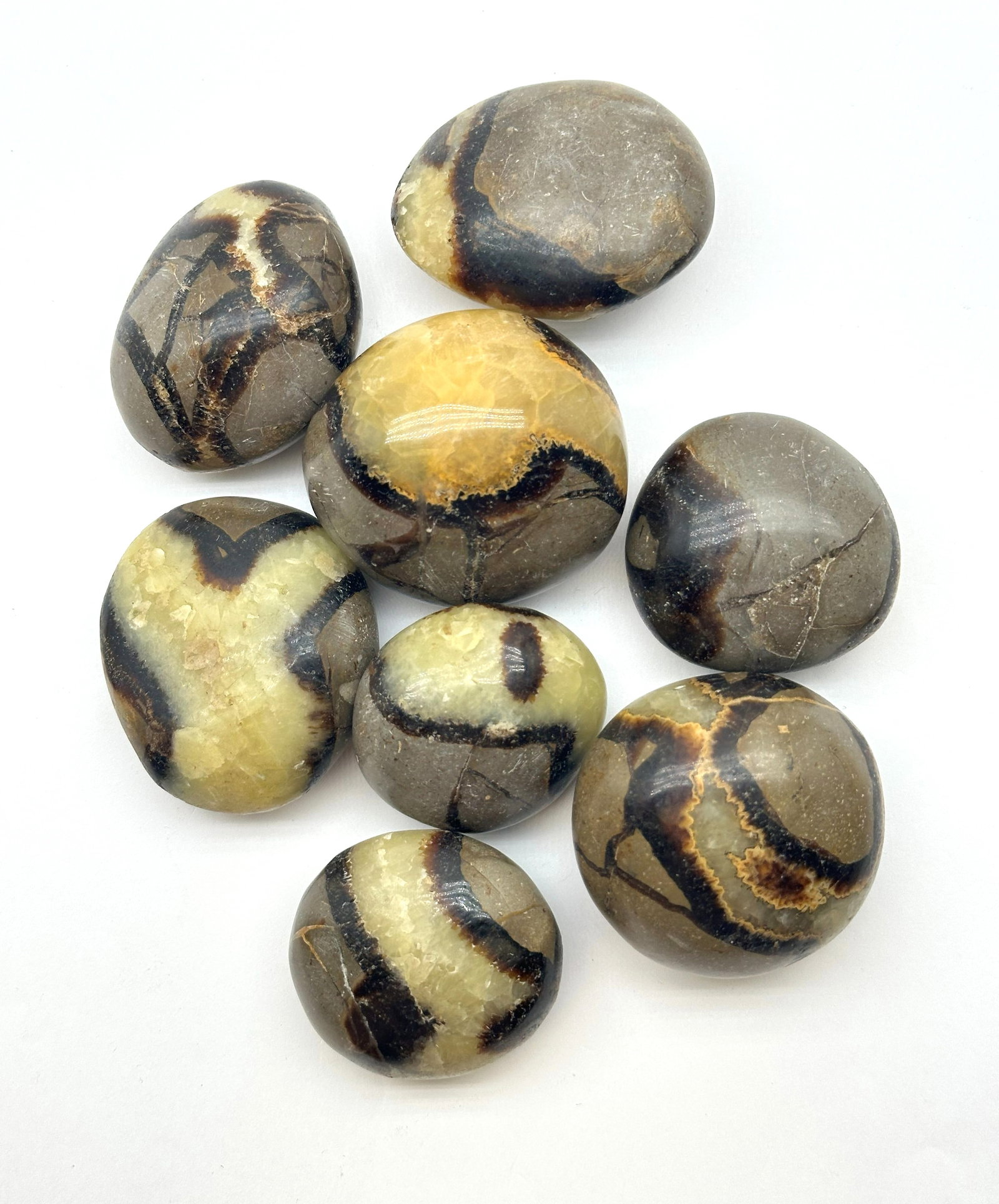Lg Lot of Septarian 533 Grams (1 of 3)